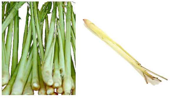 Lamon Grass